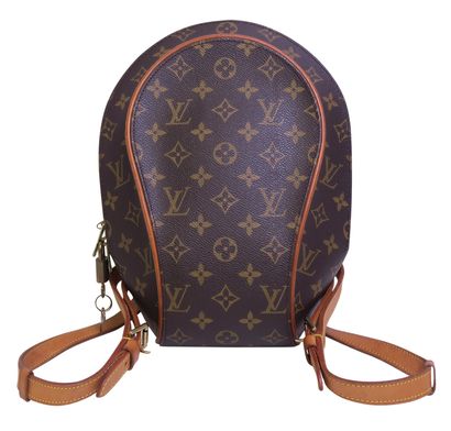Ellipse Backpack, front view